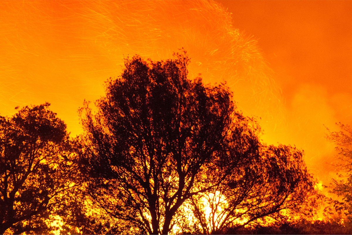 Wildfires and Public Health: Lessons for Future Doctors