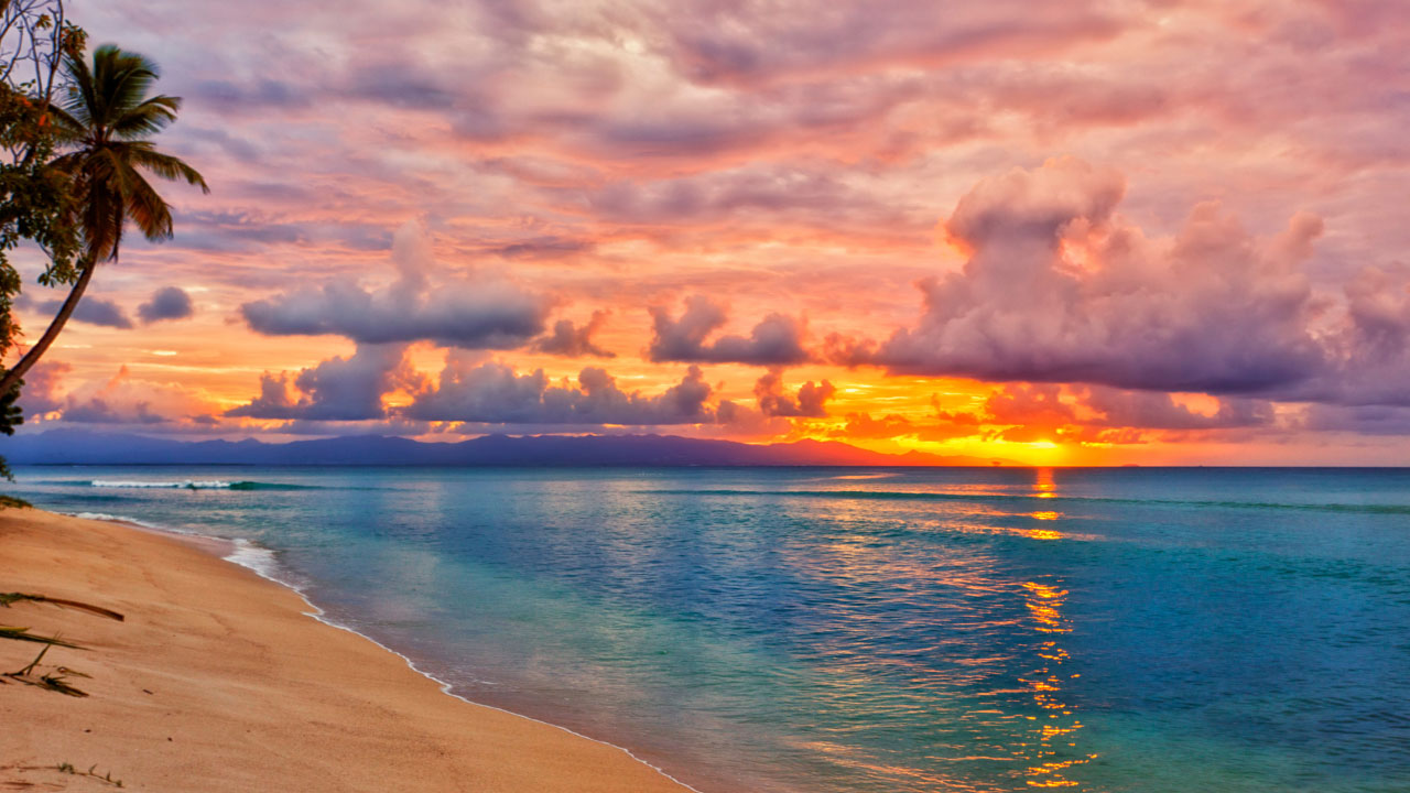 Doctor of Osteopathic Medicine vs. Caribbean MD: Choosing the Right Path for Your Medical Career