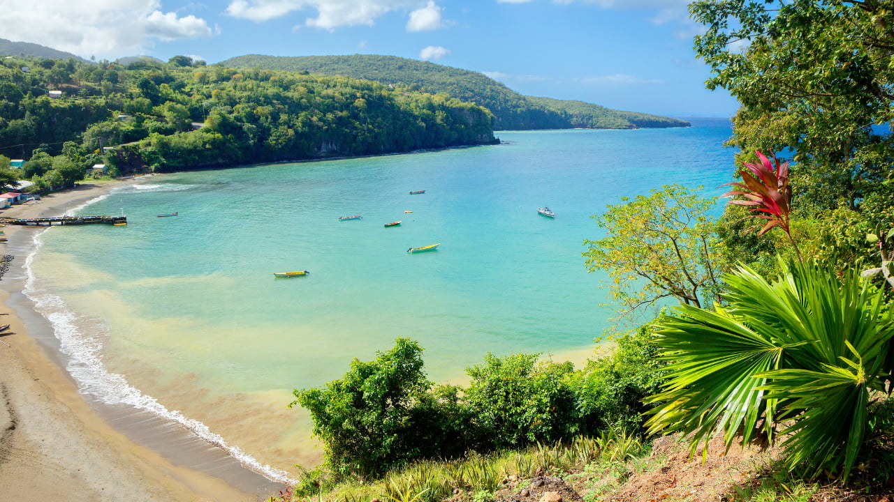 Which Caribbean Medical Schools Are ECFMG Eligible in 2026?