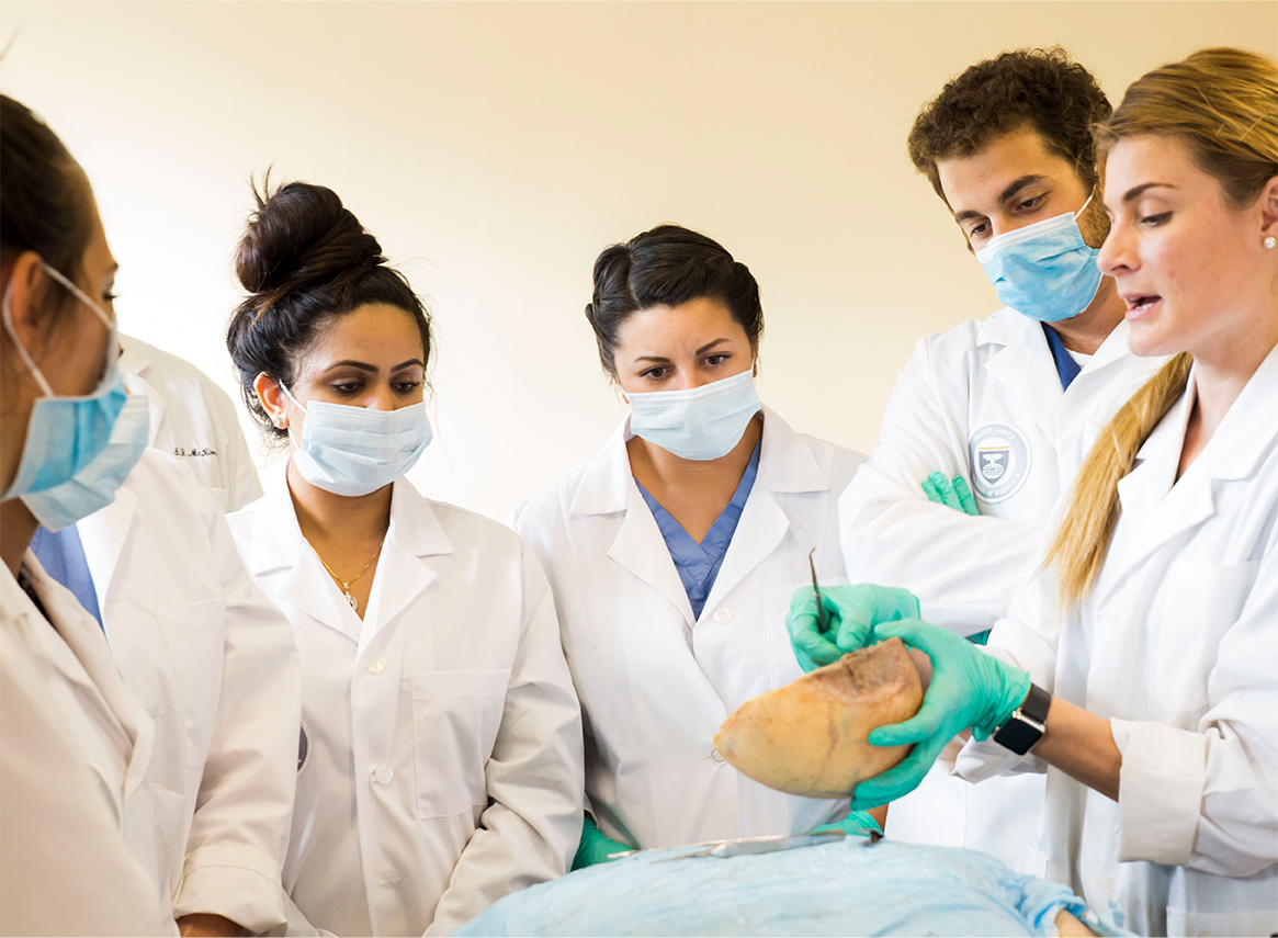 Saint James School of Medicine alumni and physicians supporting students through residency guidance