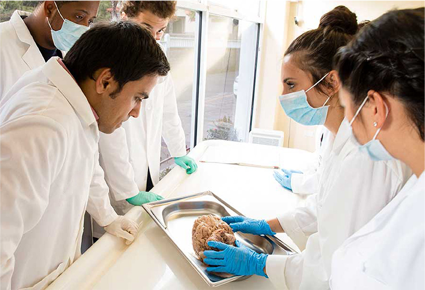 Medical students studying at SJSM in St. Vincent and the Grenadines