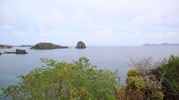 St. Vincent - Island