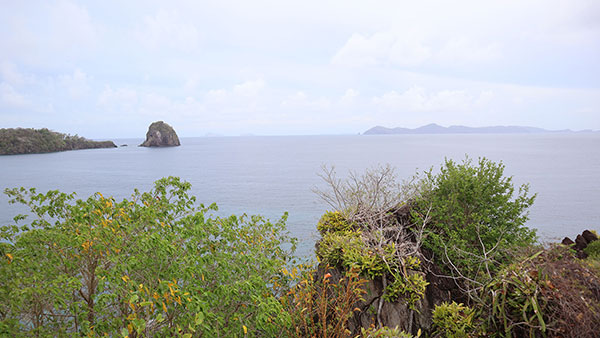 St. Vincent - Island