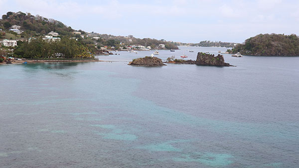 St. Vincent - Island
